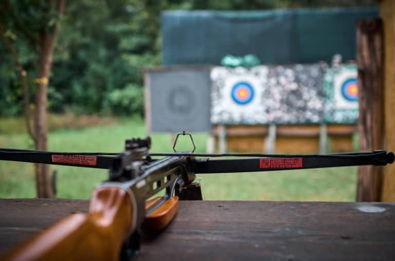 Can a Crossbow Be Bore-Sighted? - archeryguidance.com How To Bore Sight A Crossbow
