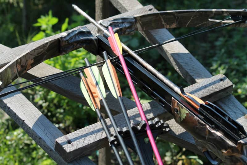 The Difference Between Recurve and Compound Arrows