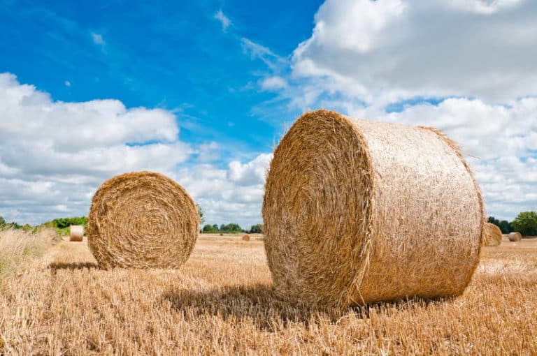Can You Use Hay Bales As Archery Targets?