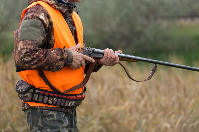 3 Reasons Why Hunters Wear Orange