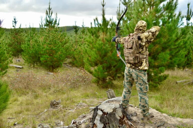 9 Common Animals That People Hunt With A Bow