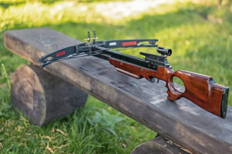 How Much Do Crossbows Weigh? (We’ve Got The Answer)